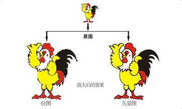 位图和矢量图的特征图片