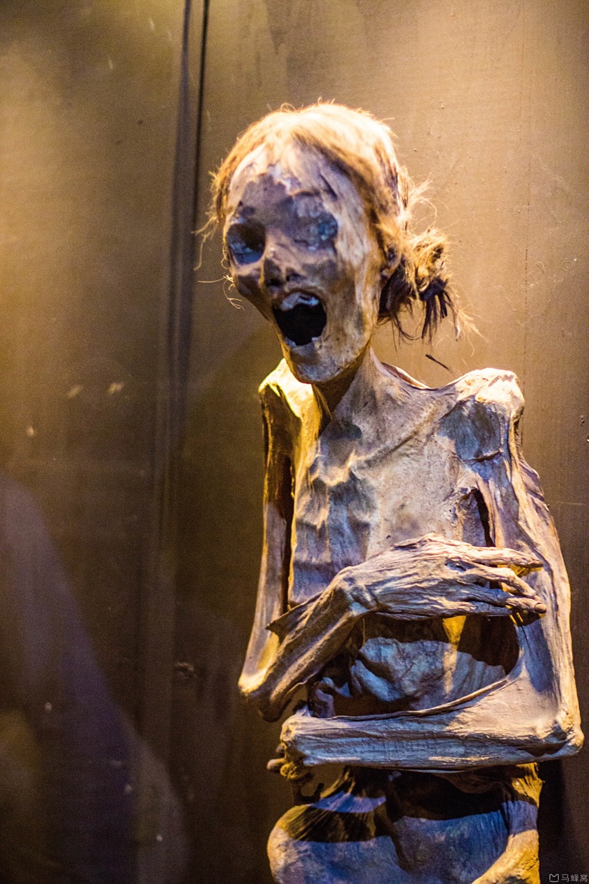 🧟‍♀️拥有一百多具木乃伊,号称是西半球最大的木乃伊群 2