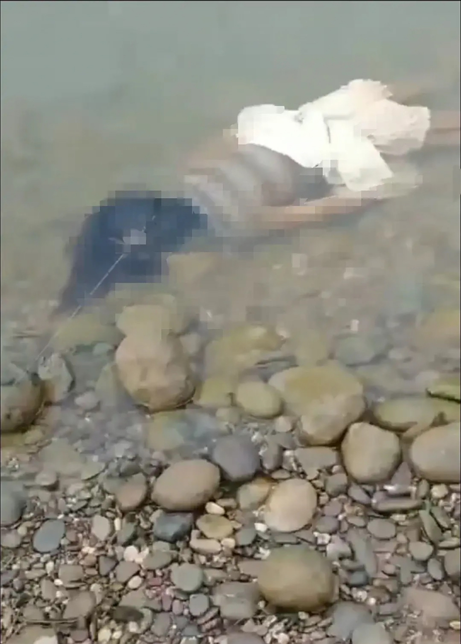 只因老公没回信息,夜店痴情女子跳河殉情.