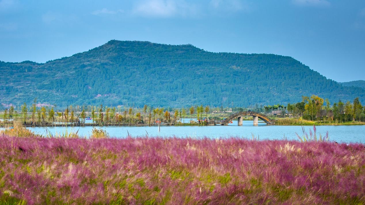 位于高坪区江陵镇的凤仪湾 有嘉陵江最秀美的景色
