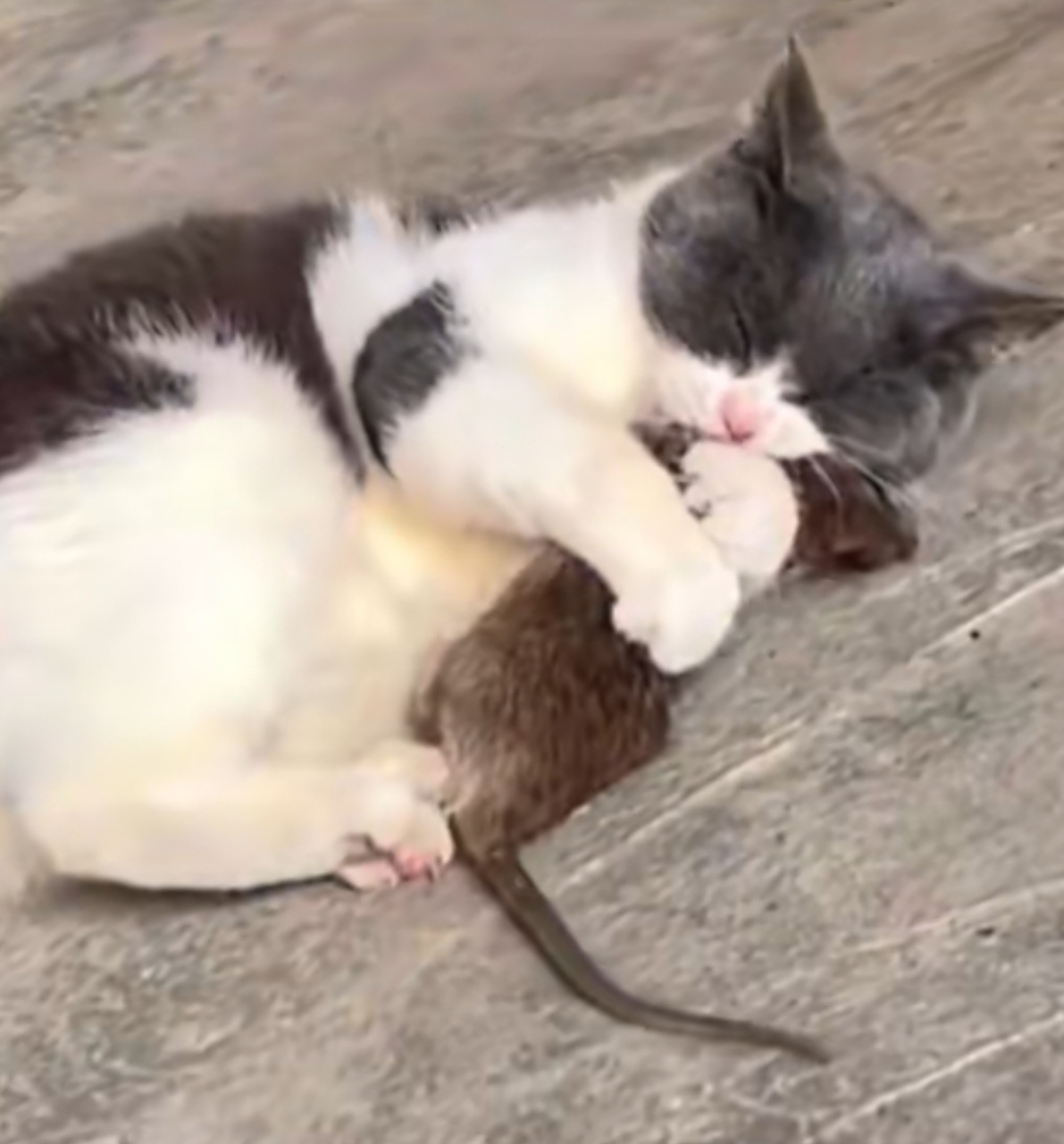 "这令人窒息的爱"!别逼我醒了扇你.