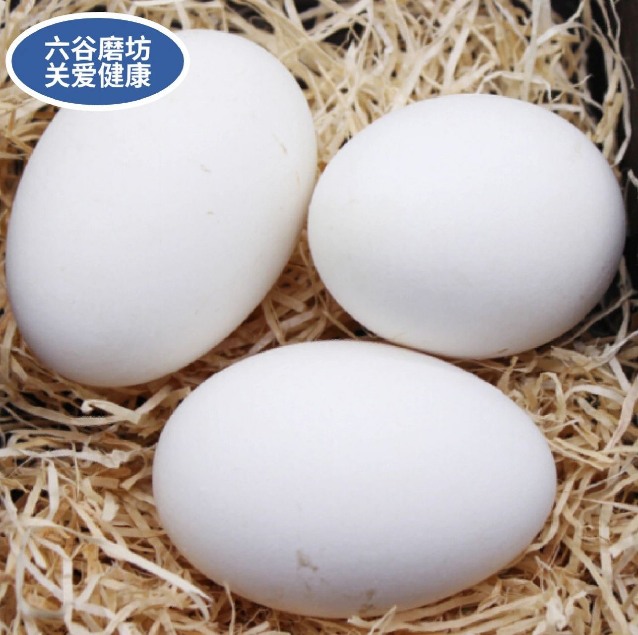 鹅蛋的功效与作用 健脑益智,预防贫血,调节免疫 鹅蛋中含有丰富的