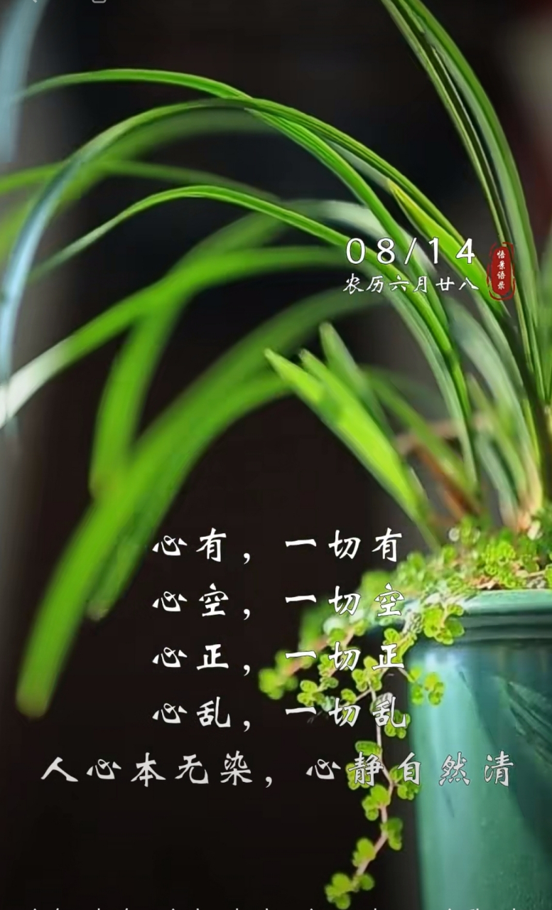 92 心有一切有,心空一切空,心正一切正,心乱一切