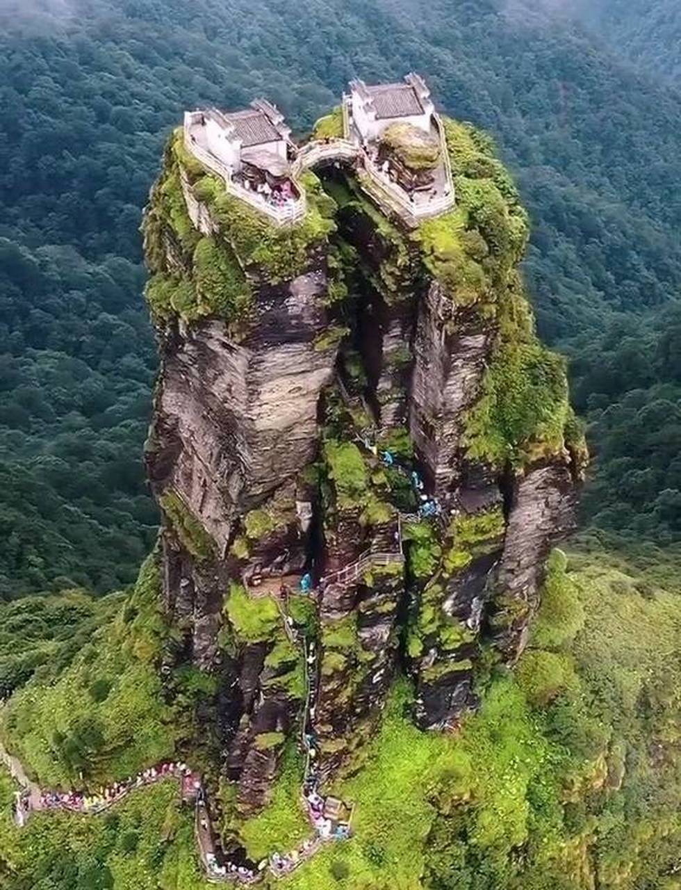 空欢喜一场!