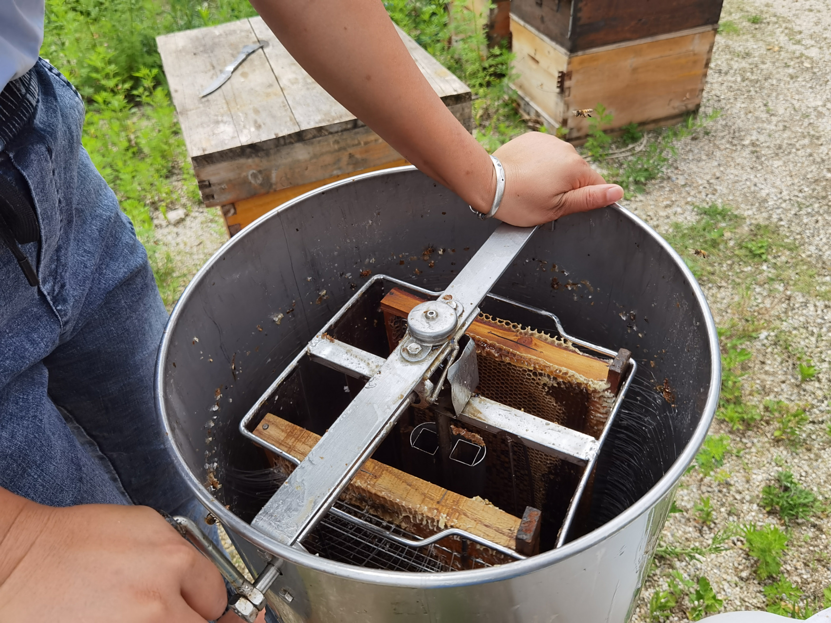 摇蜜神器 我们养蜂人就靠这个把蜂蜜从蜂巢里取出来.#vlog记录生活