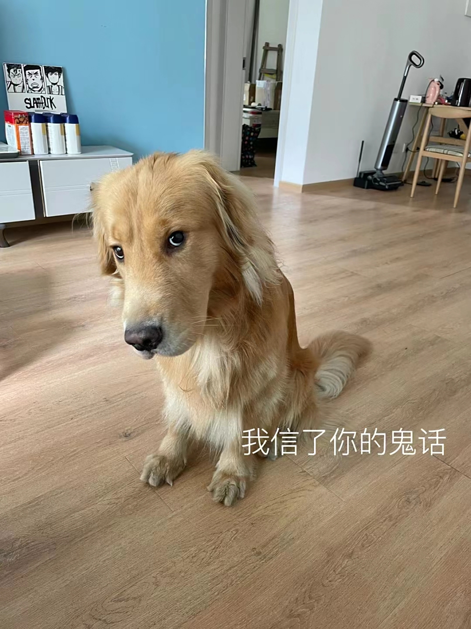 当你起床晚了,狗子这充满幽怨的小眼神,仿佛在说:一天天啥也指不上你