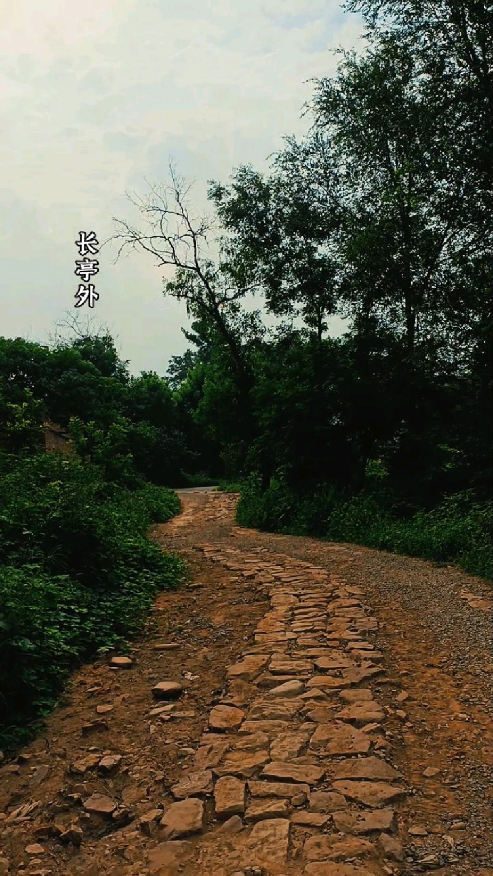 长亭外,古道边,芳草碧连天,晚风扶柳笛声残,夕阳山外山.