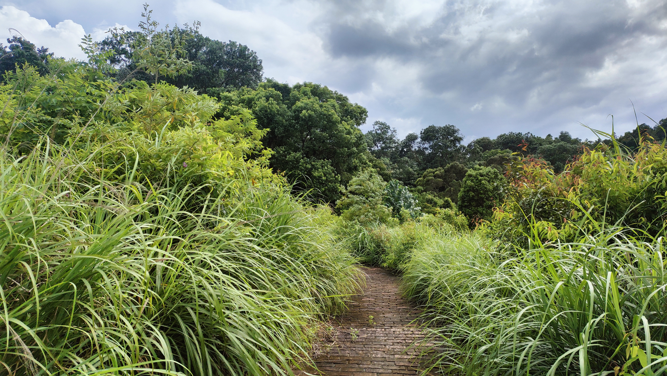 漫步深圳园山风景区