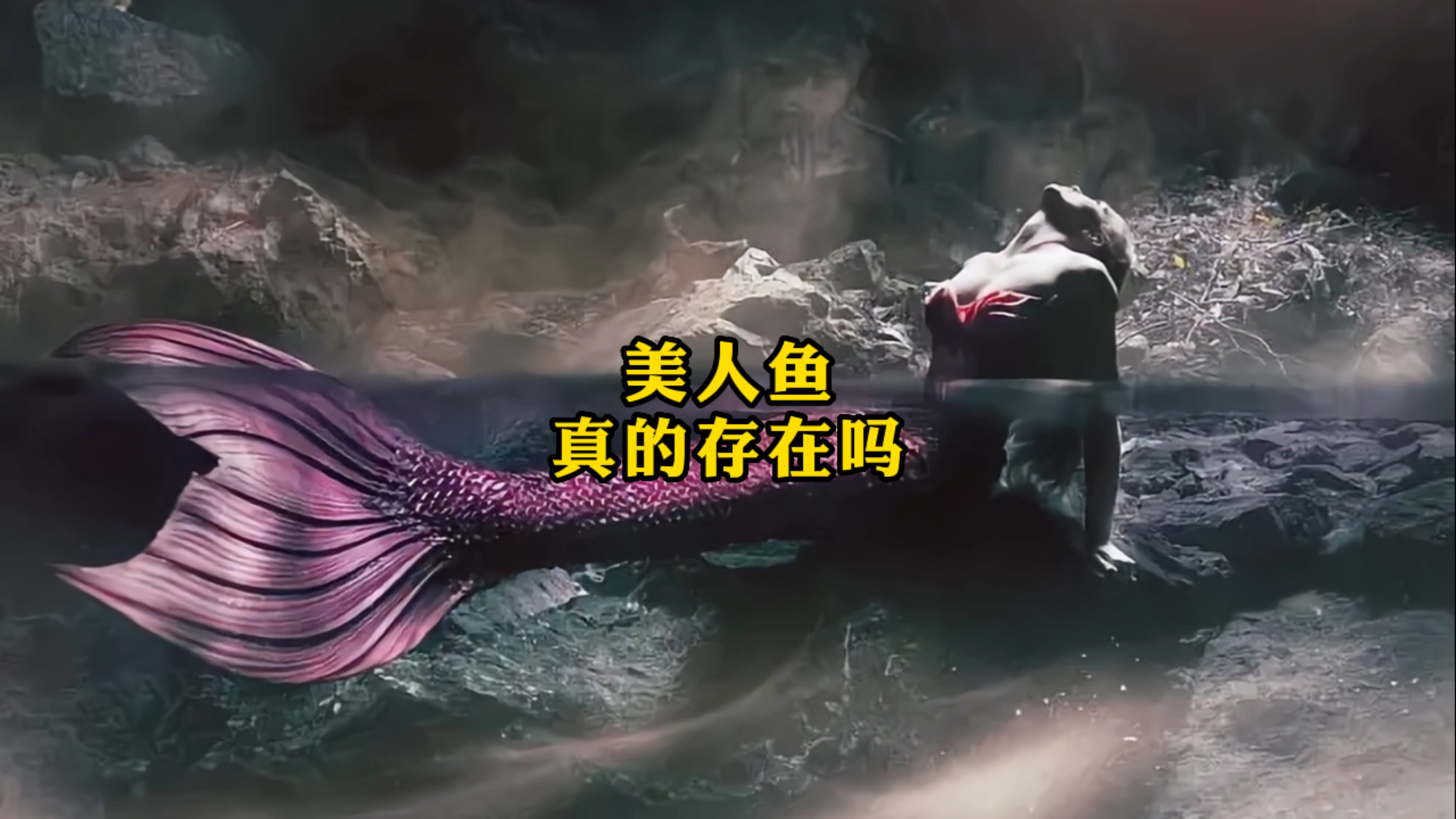 你觉得美人鱼真实存在吗