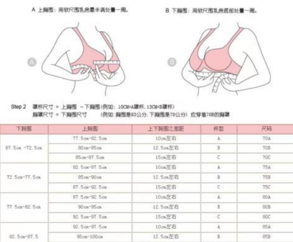 胸围36码是多大图片图片