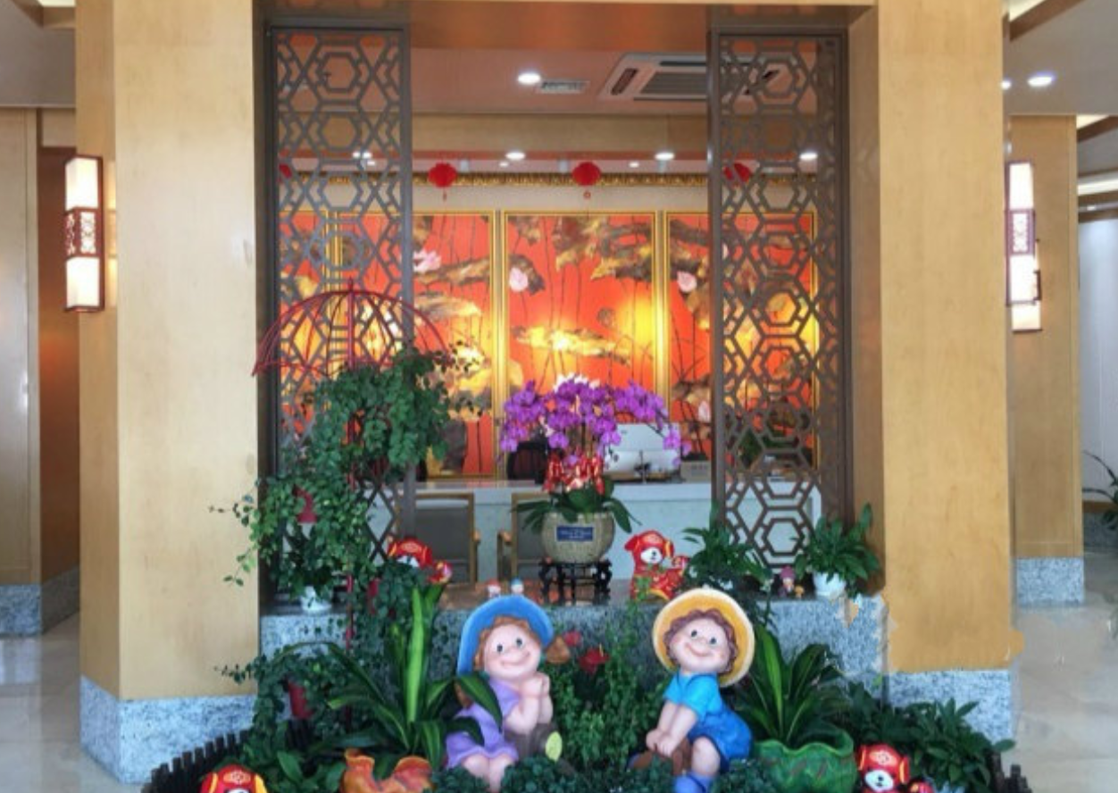 上海宝华养老院地址-上海和养宝华养护院地址