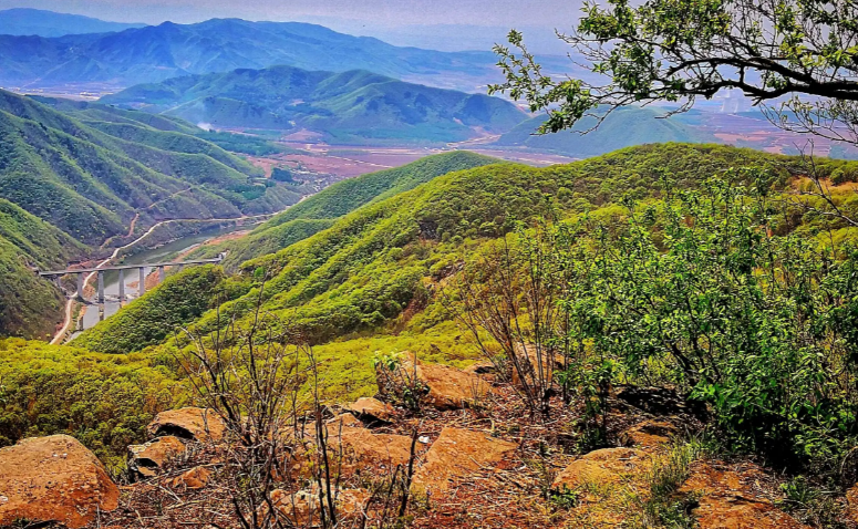 羊口镇旅游景点
