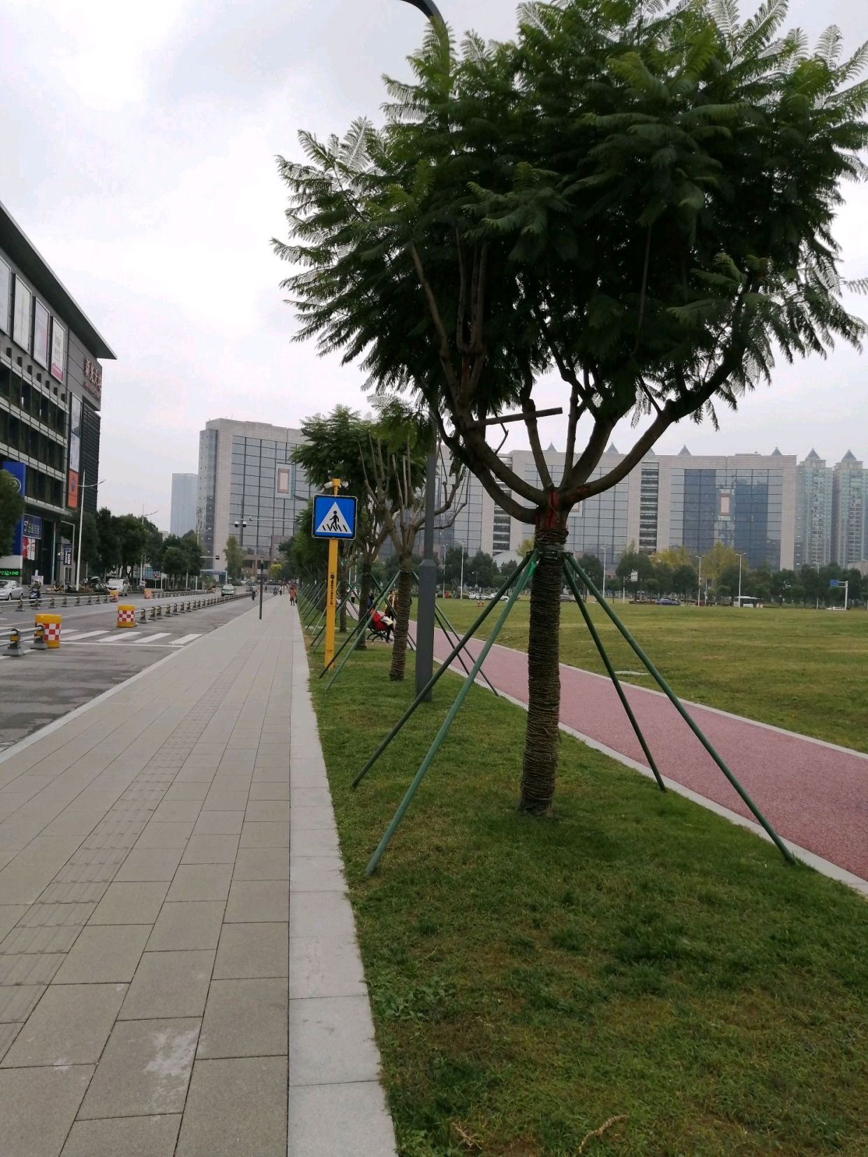 "智慧斑马线"亮相成都市温江区新光天地