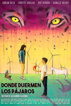 Donde duermen los pájaros手机免费在线观看