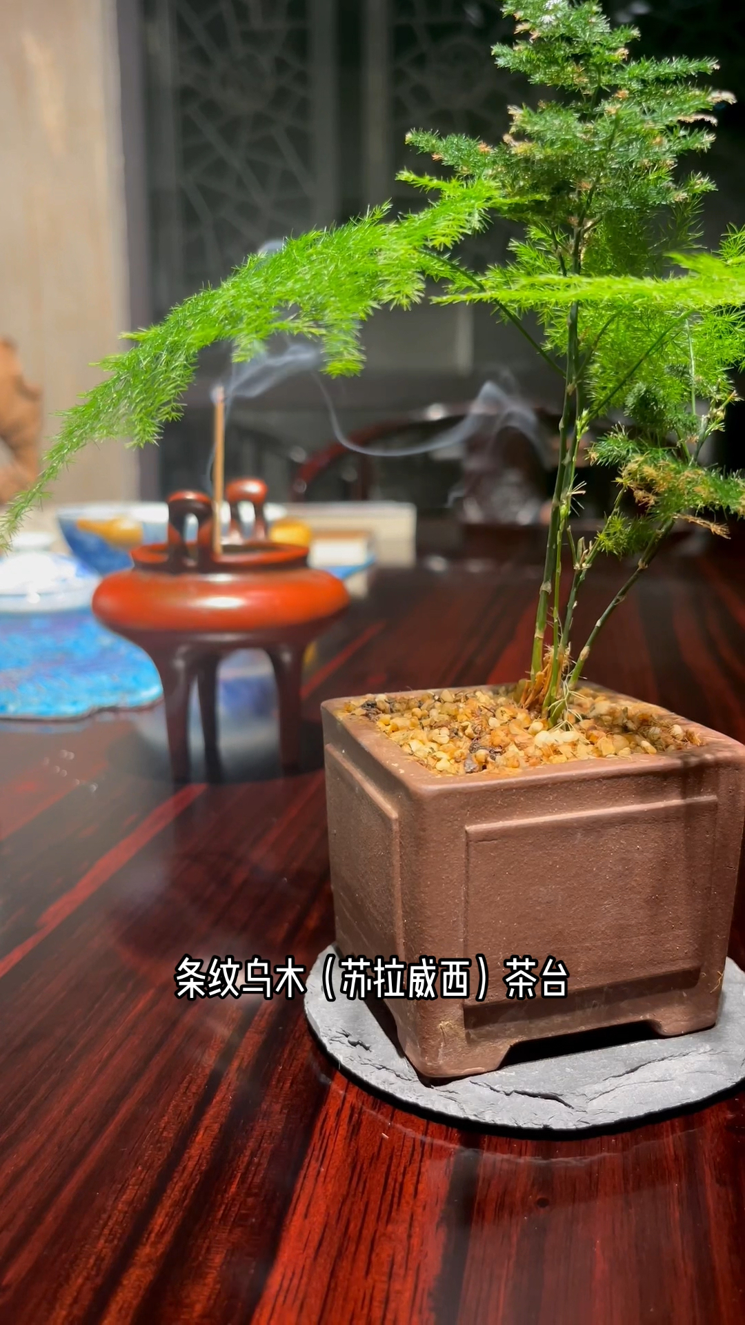 苏拉威西条纹乌木茶台茶桌