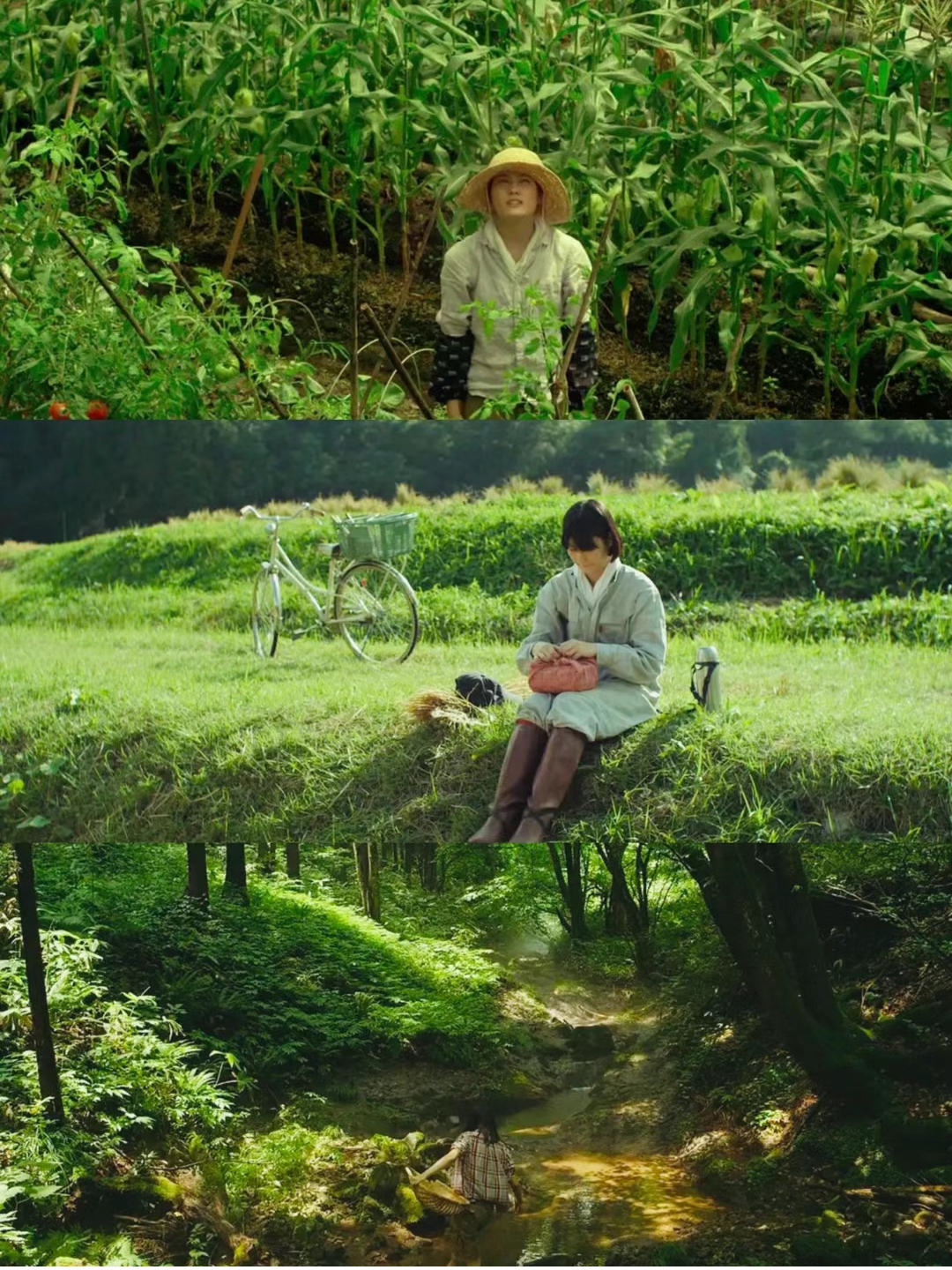 —《小森林》 《小森林》是一部充满诗意的日本电影