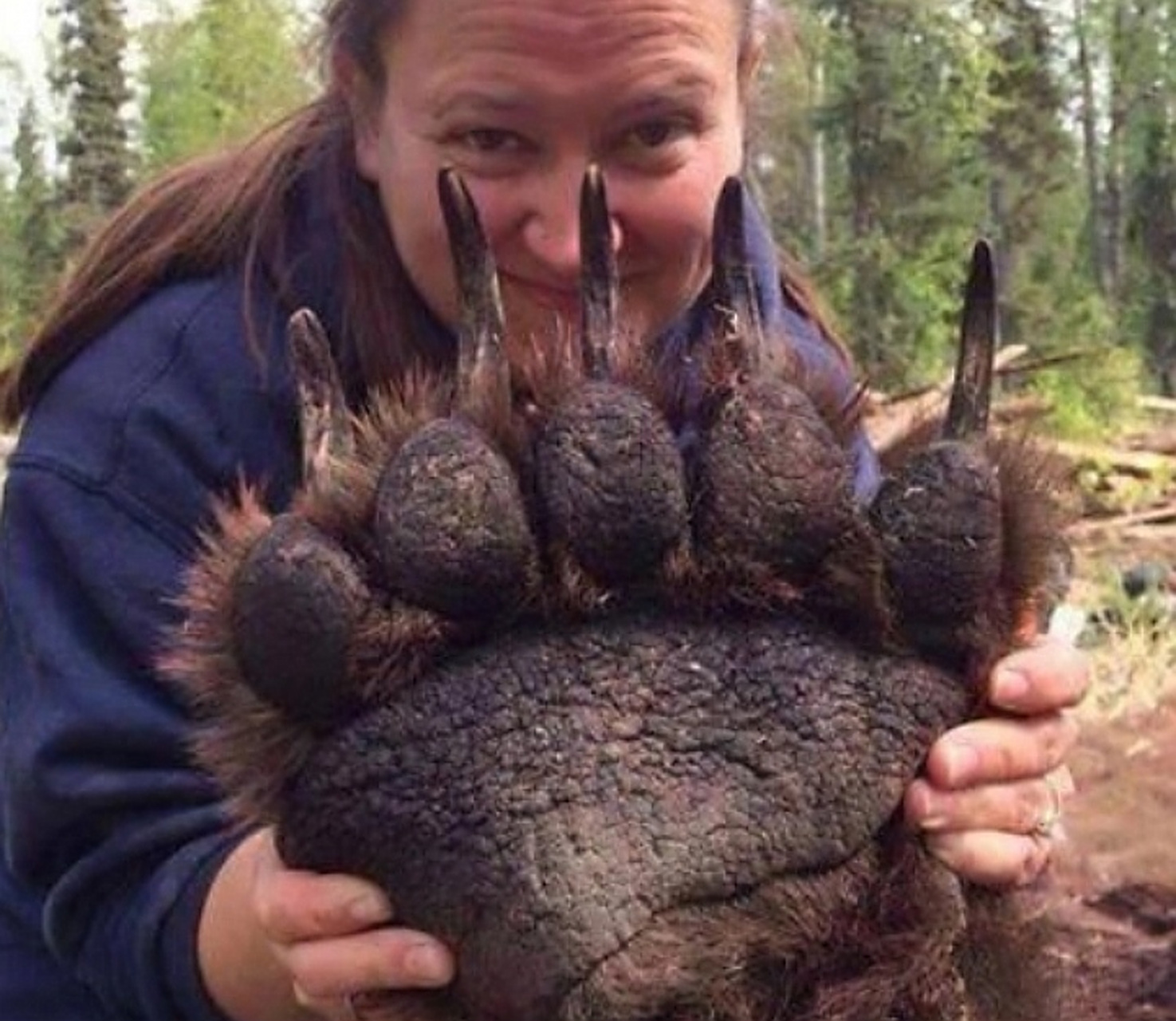 网友:棕熊这一掌下去,我至少也得吐口血[捂脸]