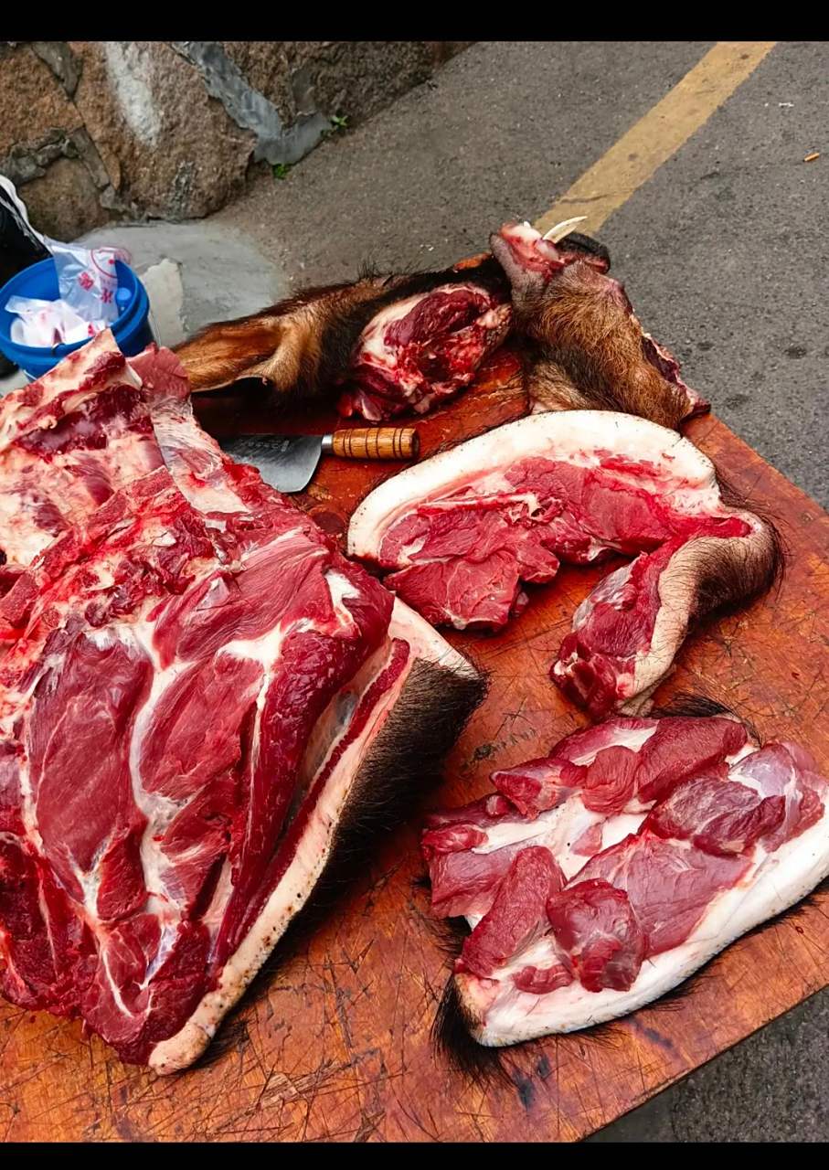 老公买的野猪肉,40元一斤,是真的吗?