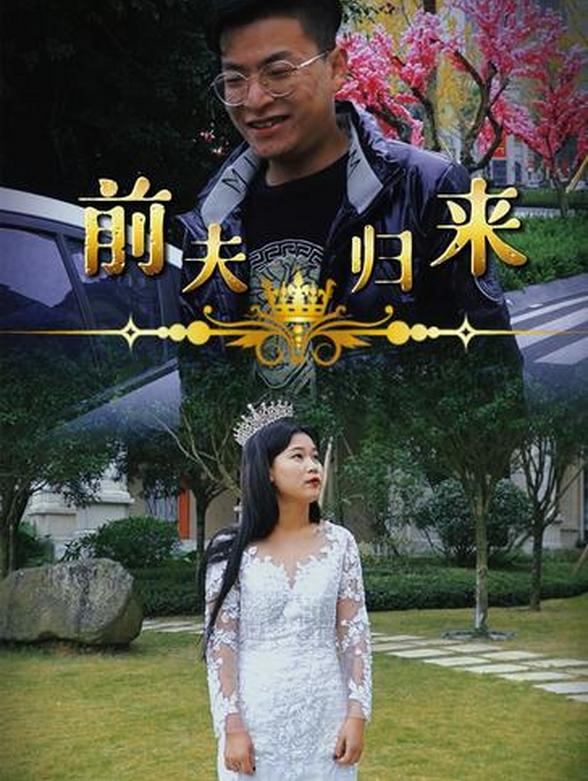前夫归来封面图
