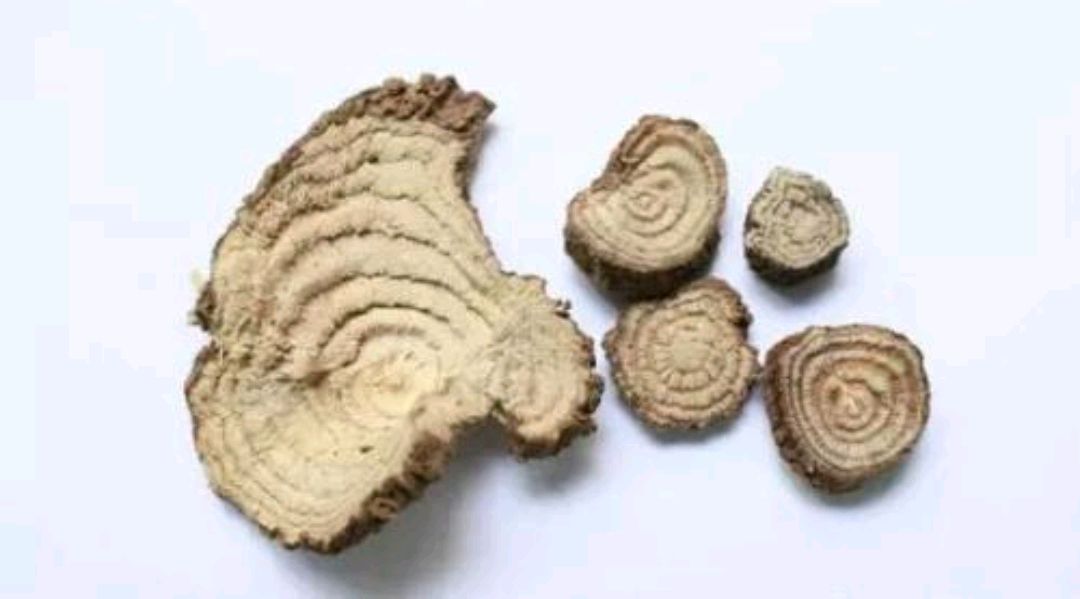 跟随道医学识中华本草商陆