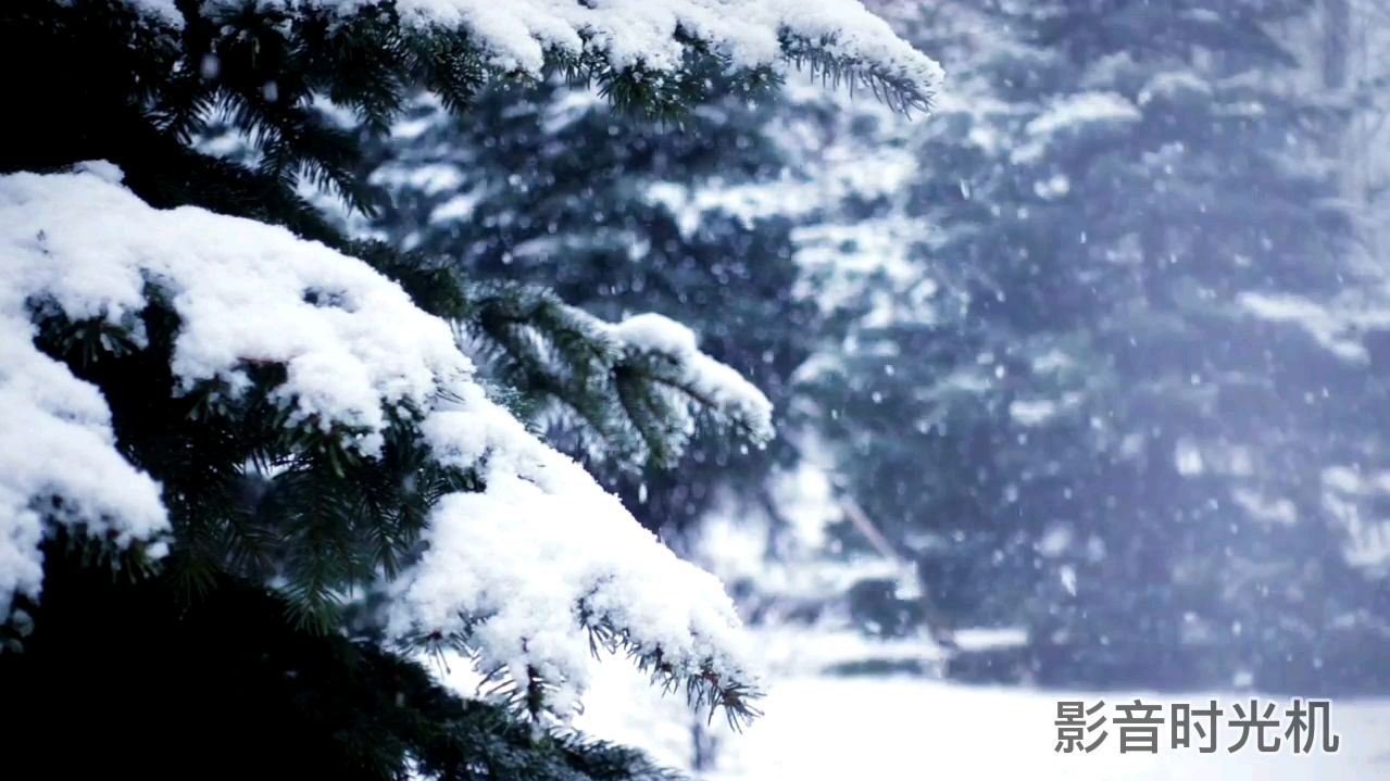 [图]欧美经典纯音乐《初雪》,柔美的钢琴曲,触及心灵深处,感人至深