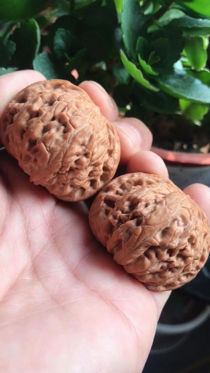 手工# 元宝磨,磨盘狮子头,又称老款闷尖狮子头,最古老的最古老的眉忖