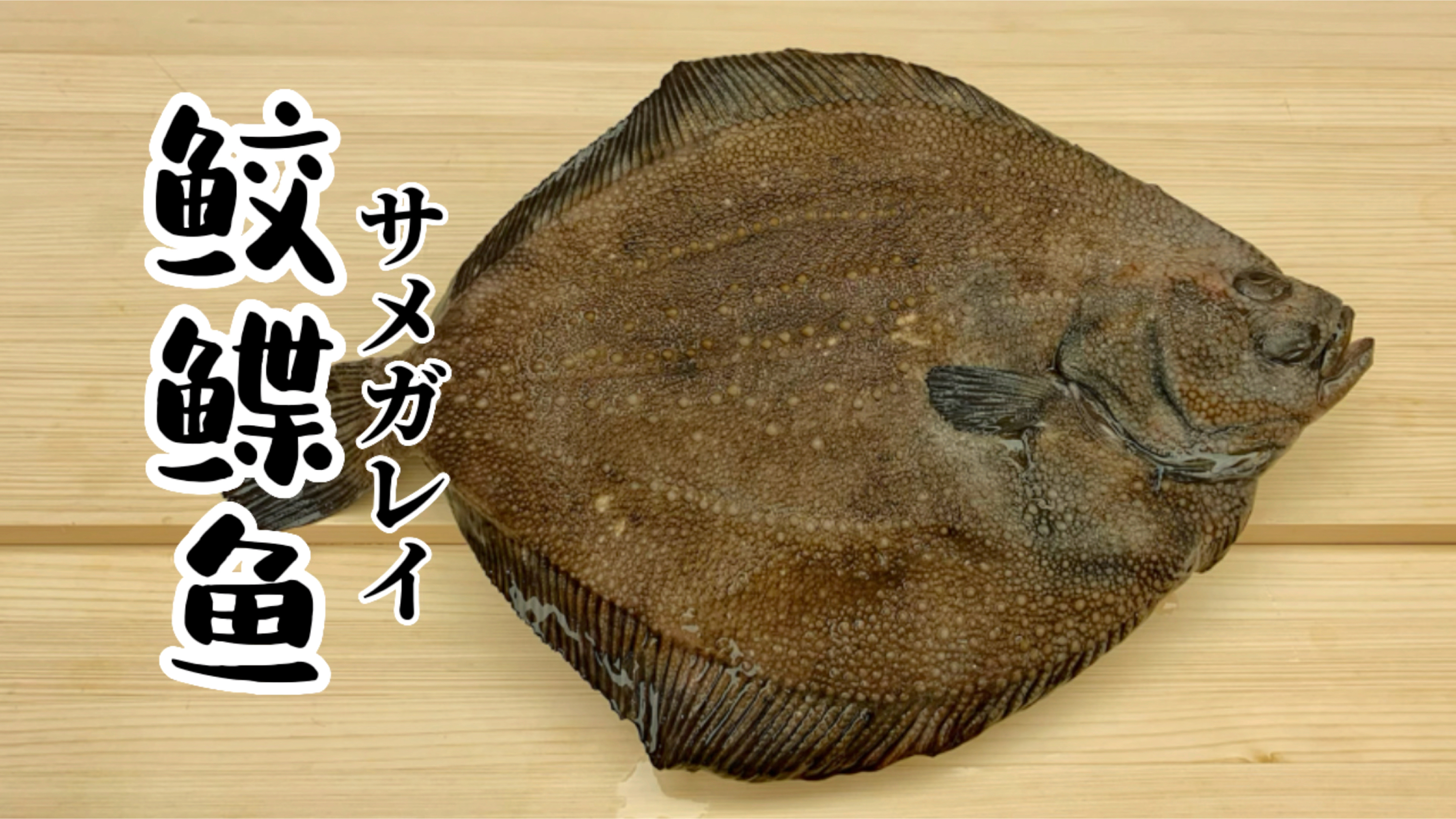 鲛鲽鱼—寿司制作