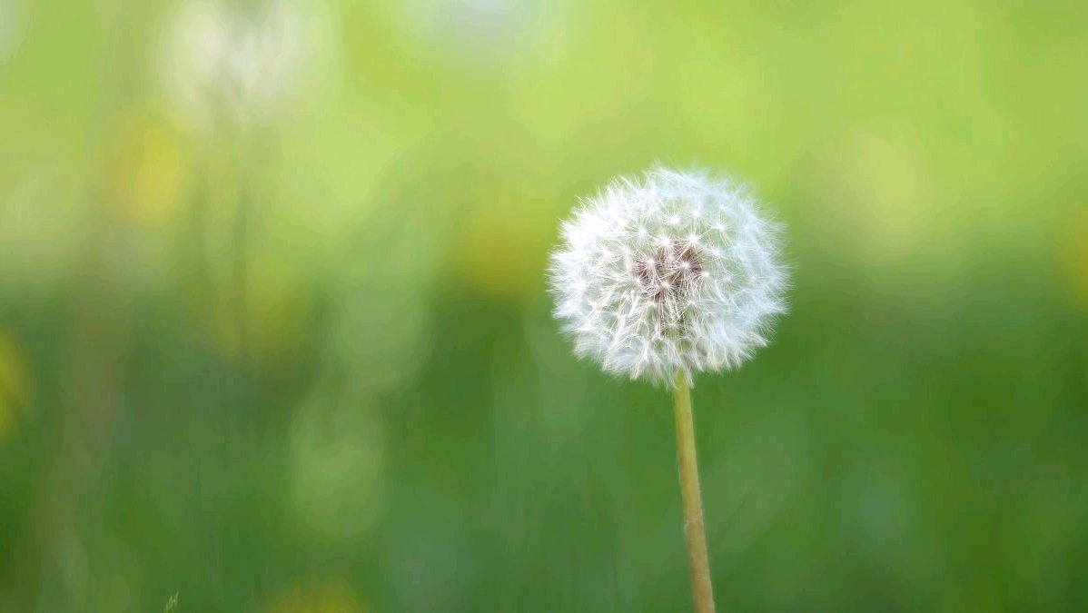 十二星座,6月四大星座最幸運,好運連連!