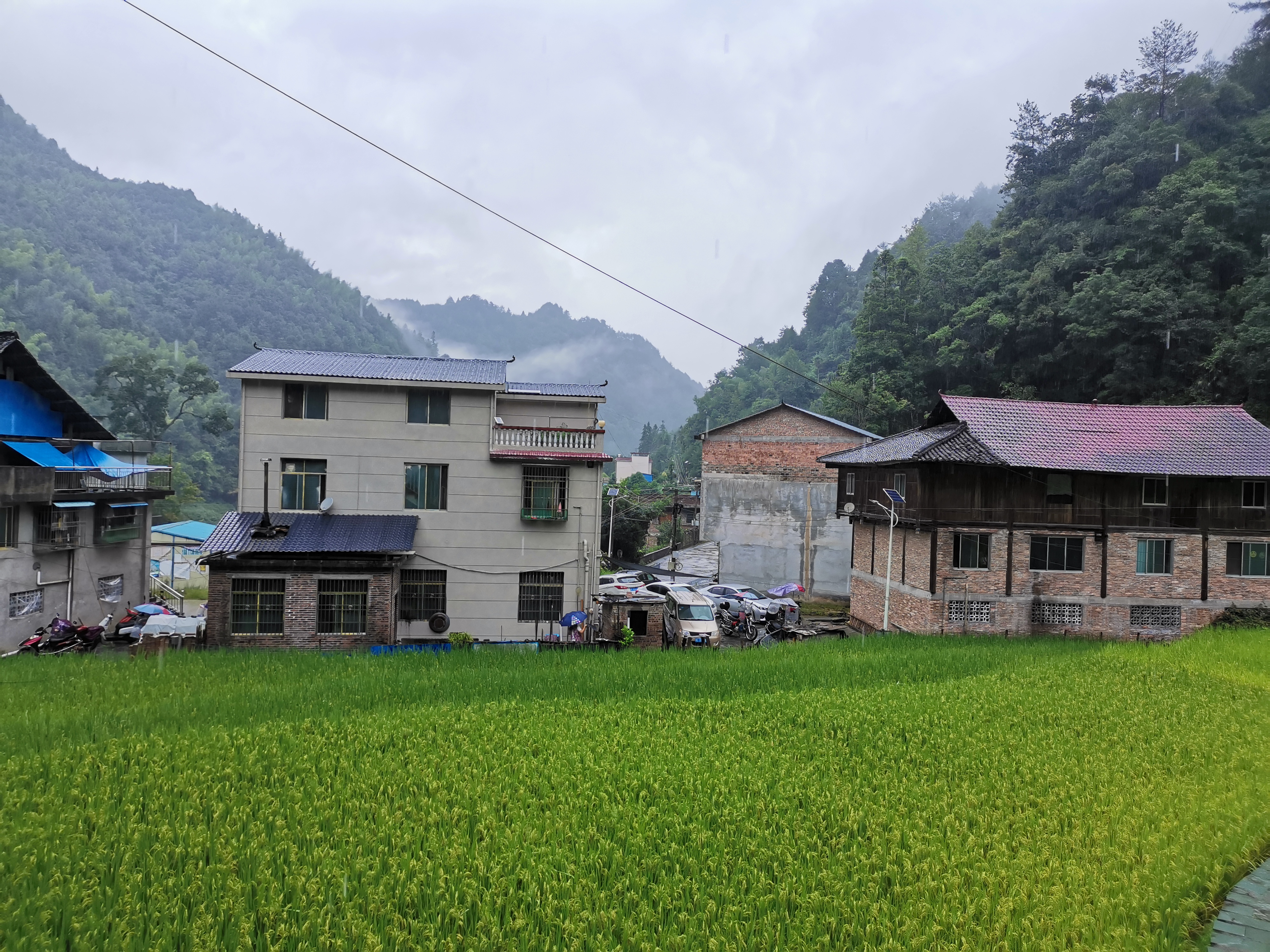 开学在即高考的状元酒也跟着多多,不知道什么时候大家