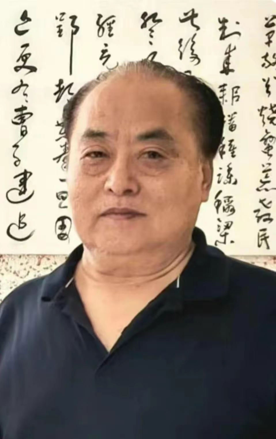 访著名书法家张会利缪篆书法艺术 自媒体记者张桂守