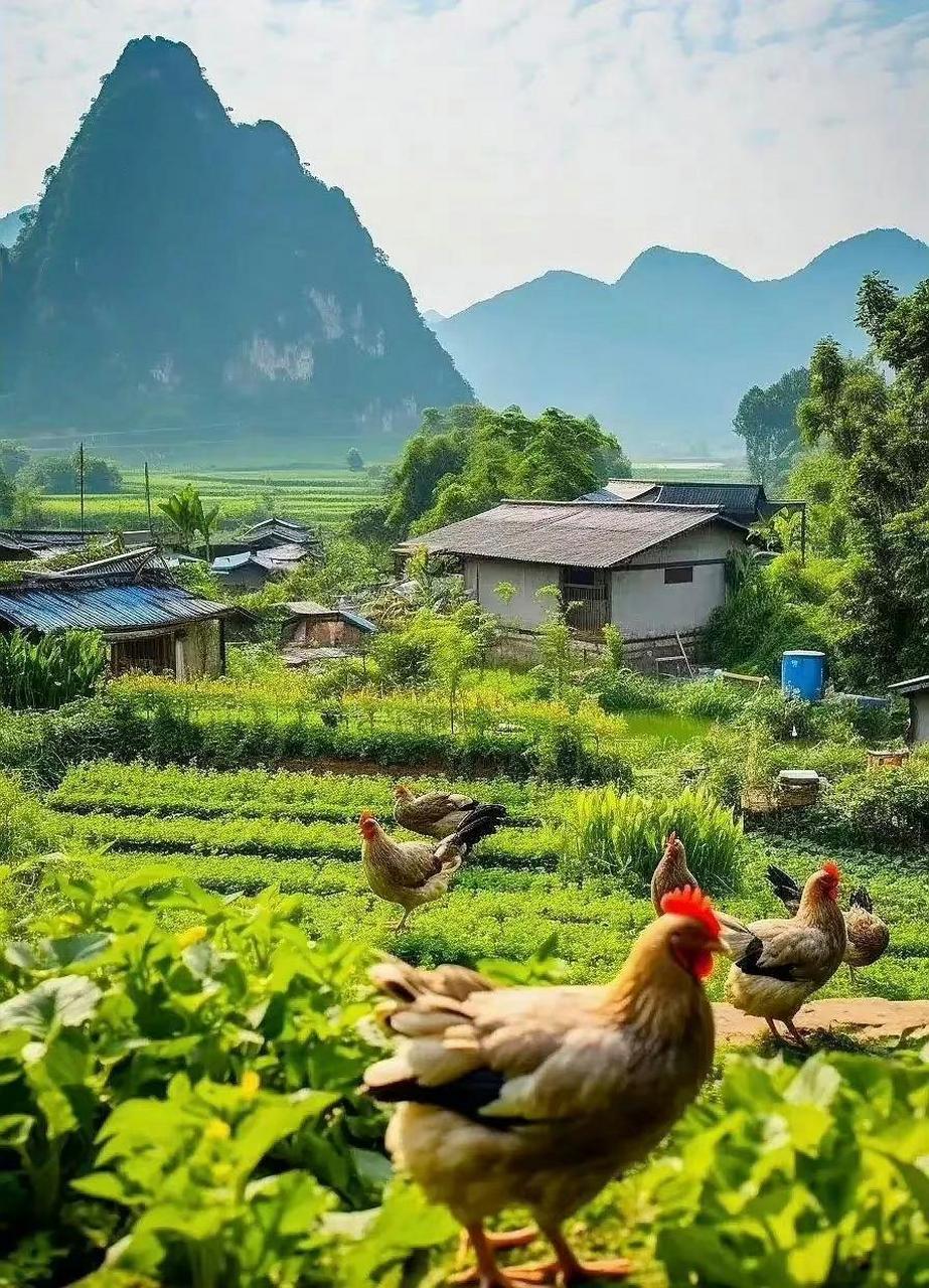 乡村田园风景图片大全图片