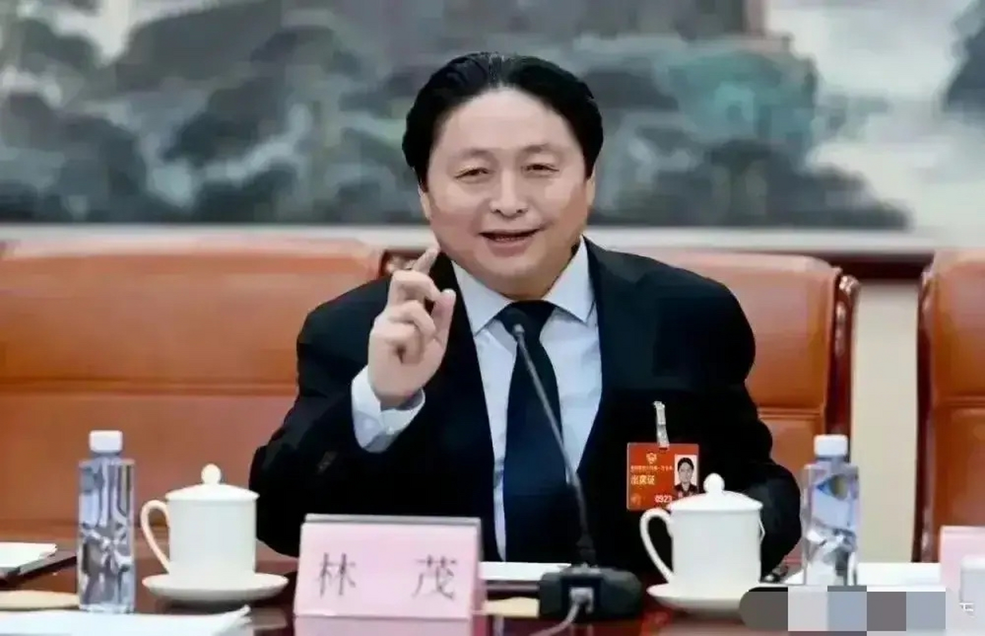 林茂任中央美术学院院长,以下是他的作品