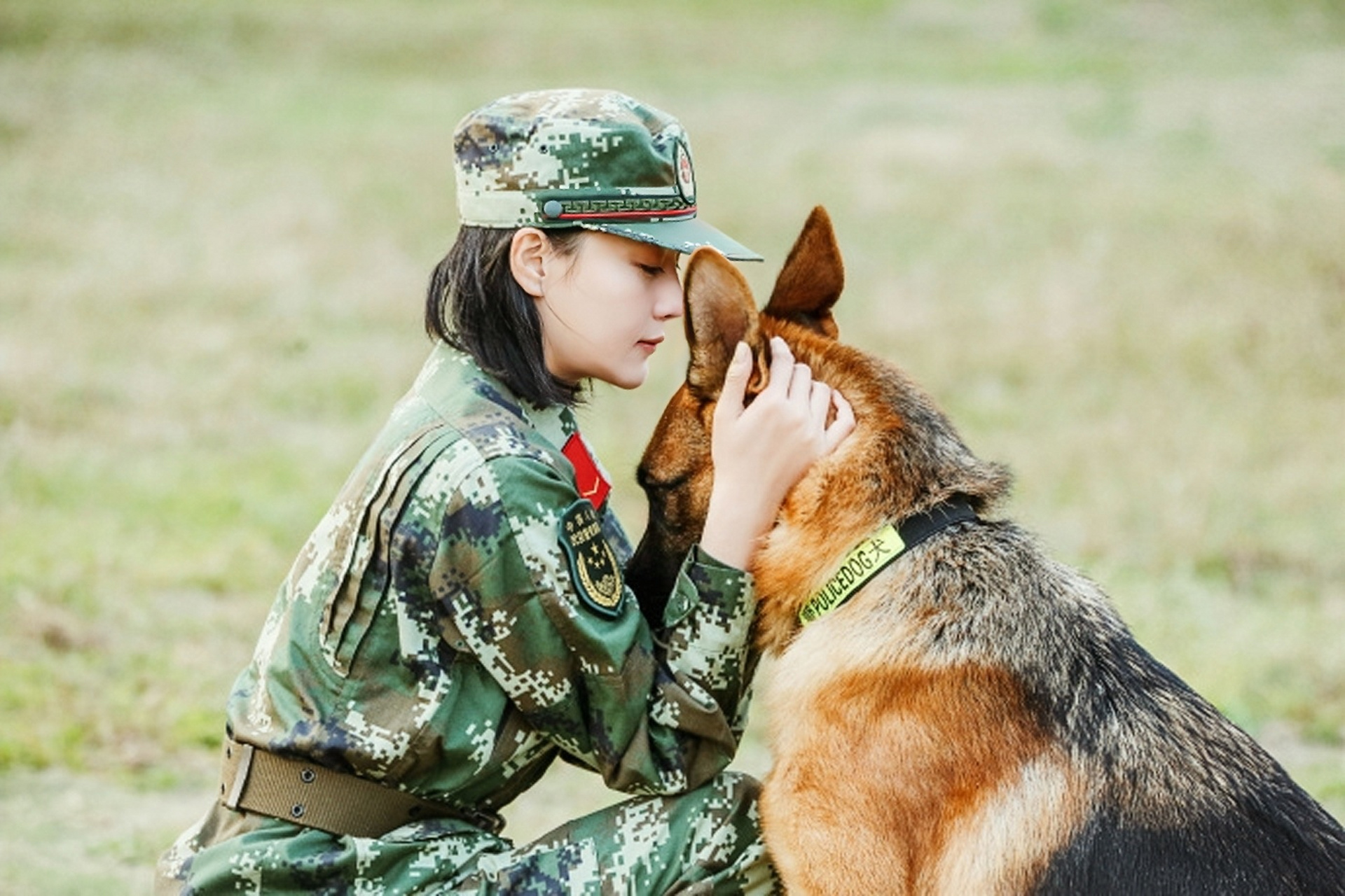 张馨予在《奇兵神犬》里特别招人喜欢,我要是何捷我也爱上,抱着狗狗