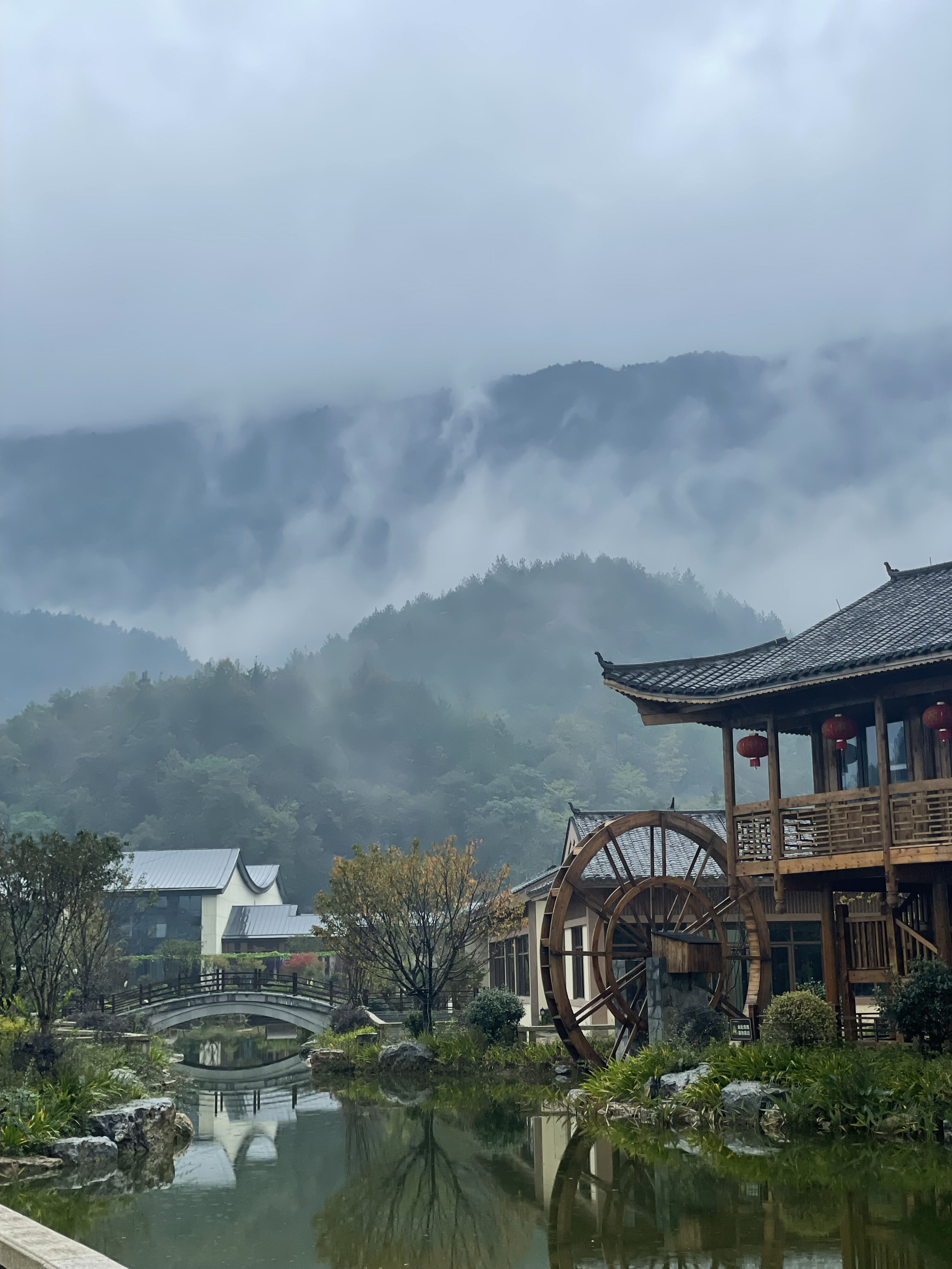 探秘湖北利川齐岳山康养生态园:四季皆宜的天然疗养胜地