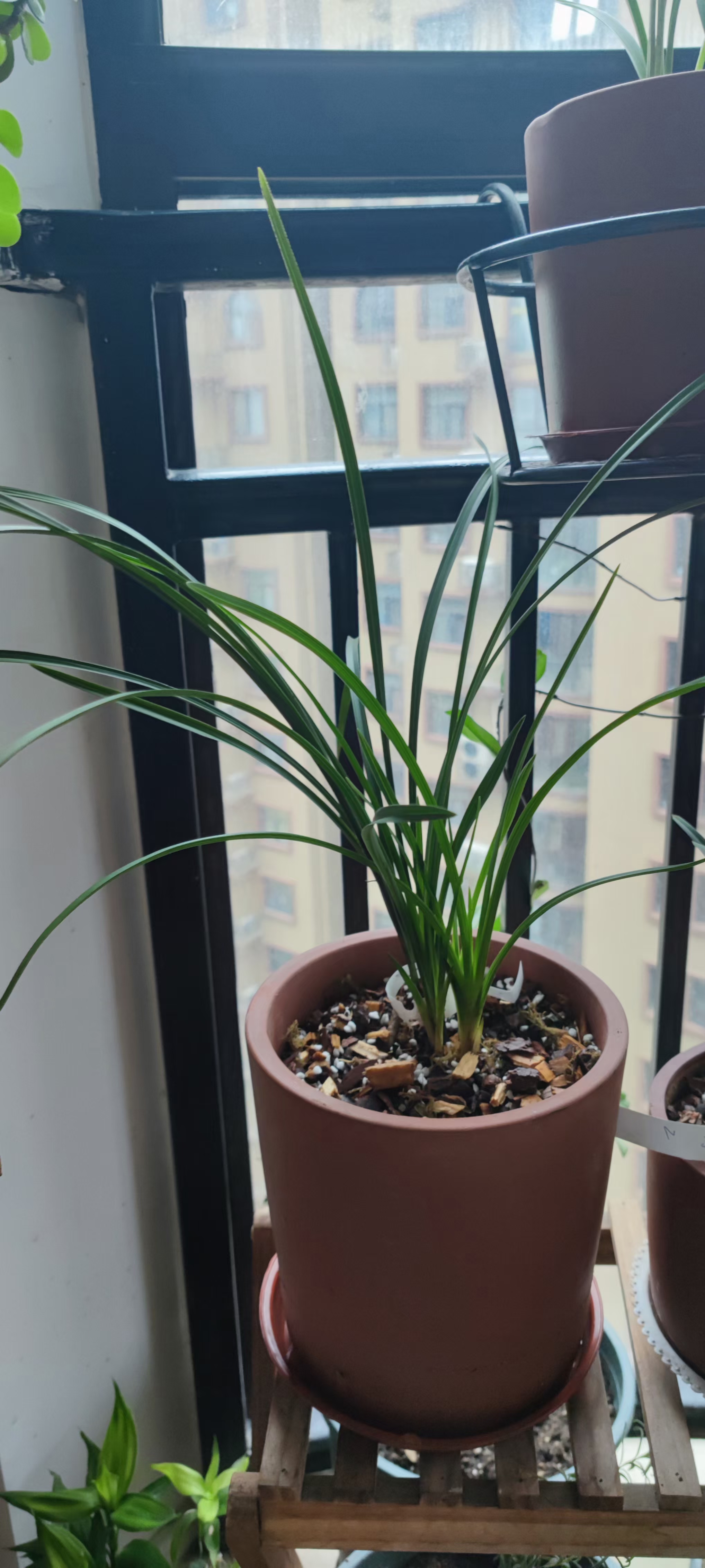 21年八月的朋友圈