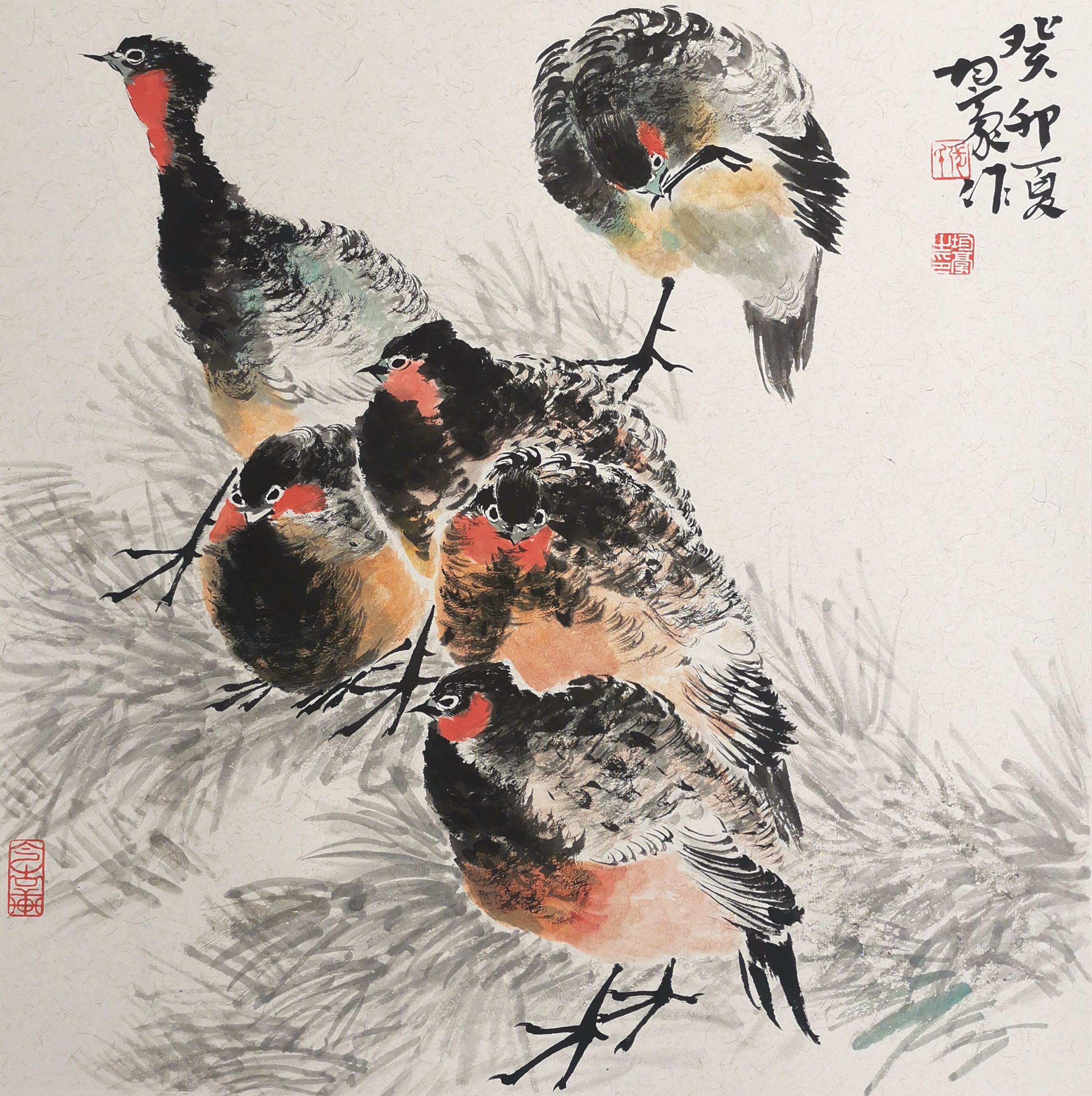 两大名家张世简,赵安宁亲传弟子张均豪精品花鸟50*50cm,60*39cm