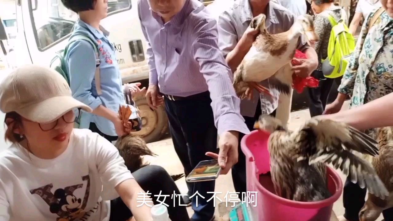 实拍湖南永州:鸭子大降价,看看多少一斤?可以大口吃永州血鸭了