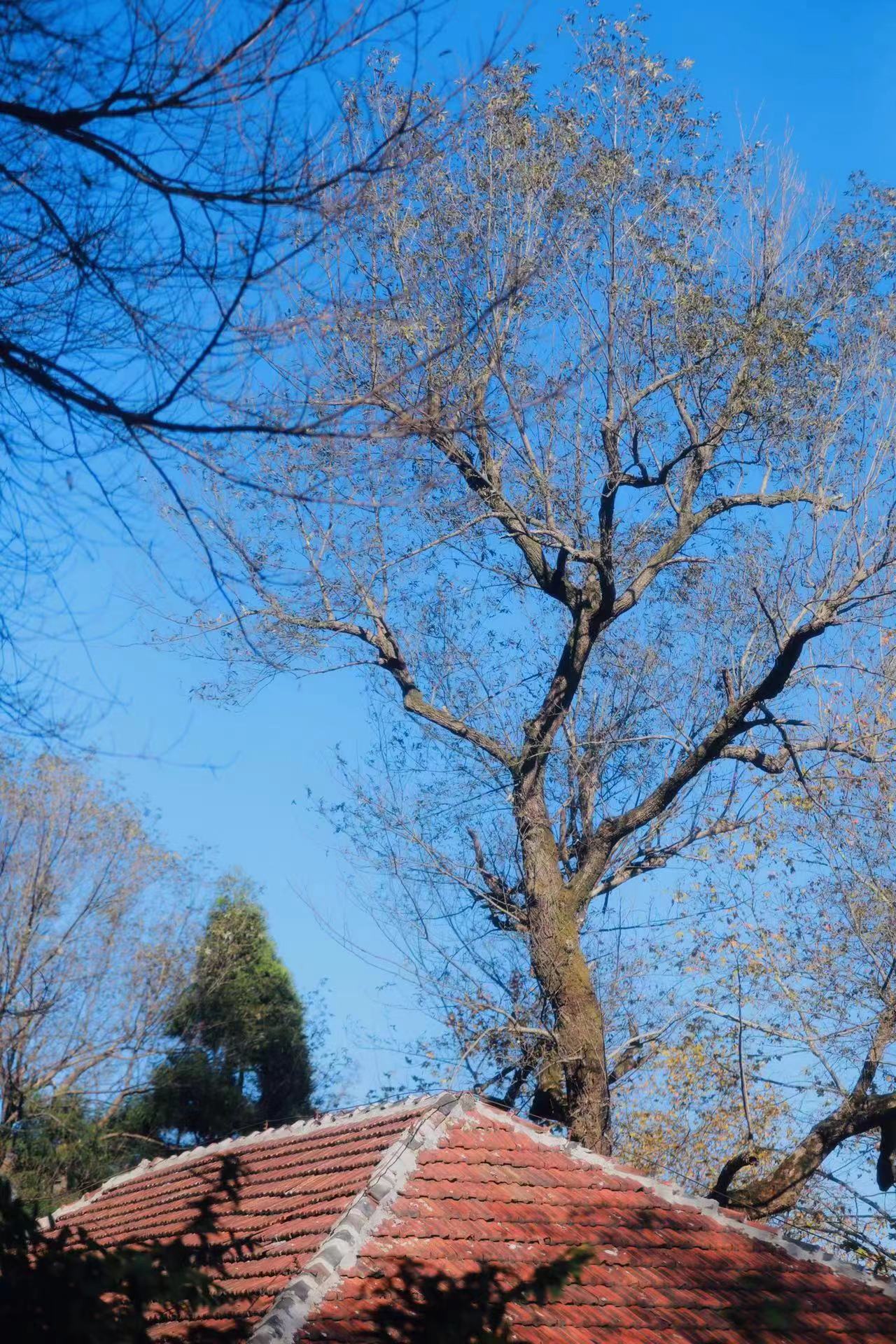 晴空万里天蓝的透彻一不小心就是落日余晖映晚霞的美景