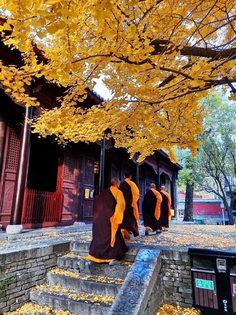 泉城灵岩寺,一叶一菩提. 676767