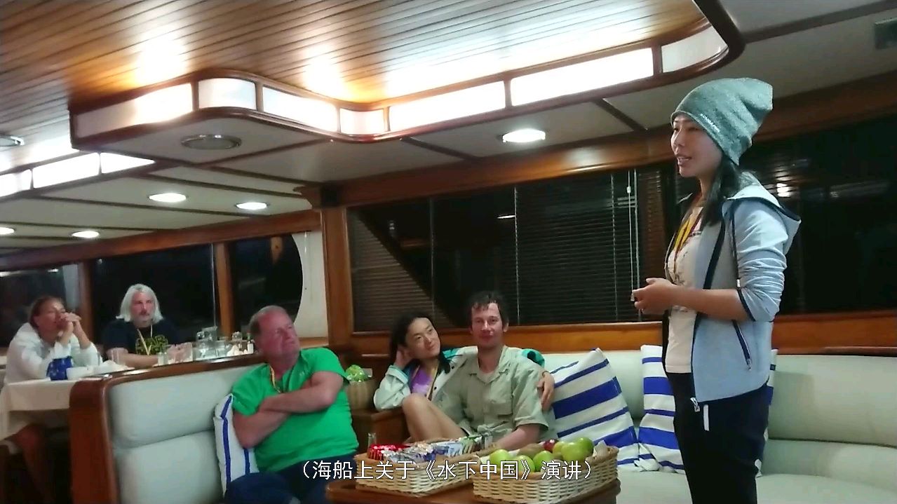 长的像牛头的鲨鱼,泡泡夜晚拍到出行捕食的宝宝,身材小窜的快