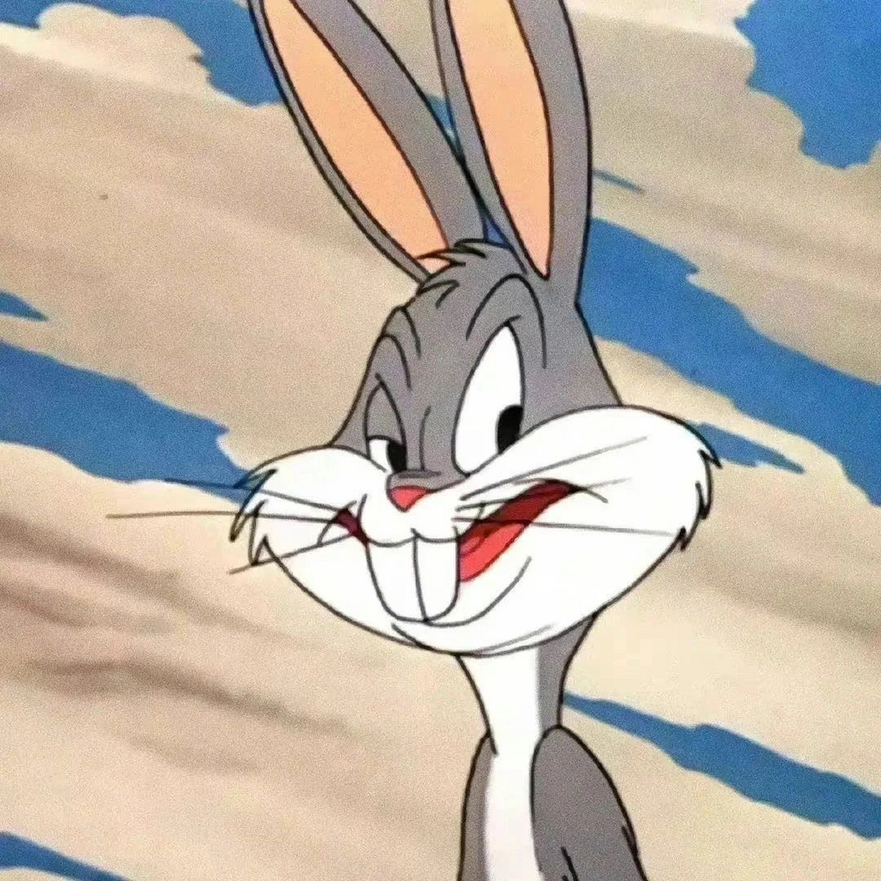 奇奇怪怪的动物萌宠头像