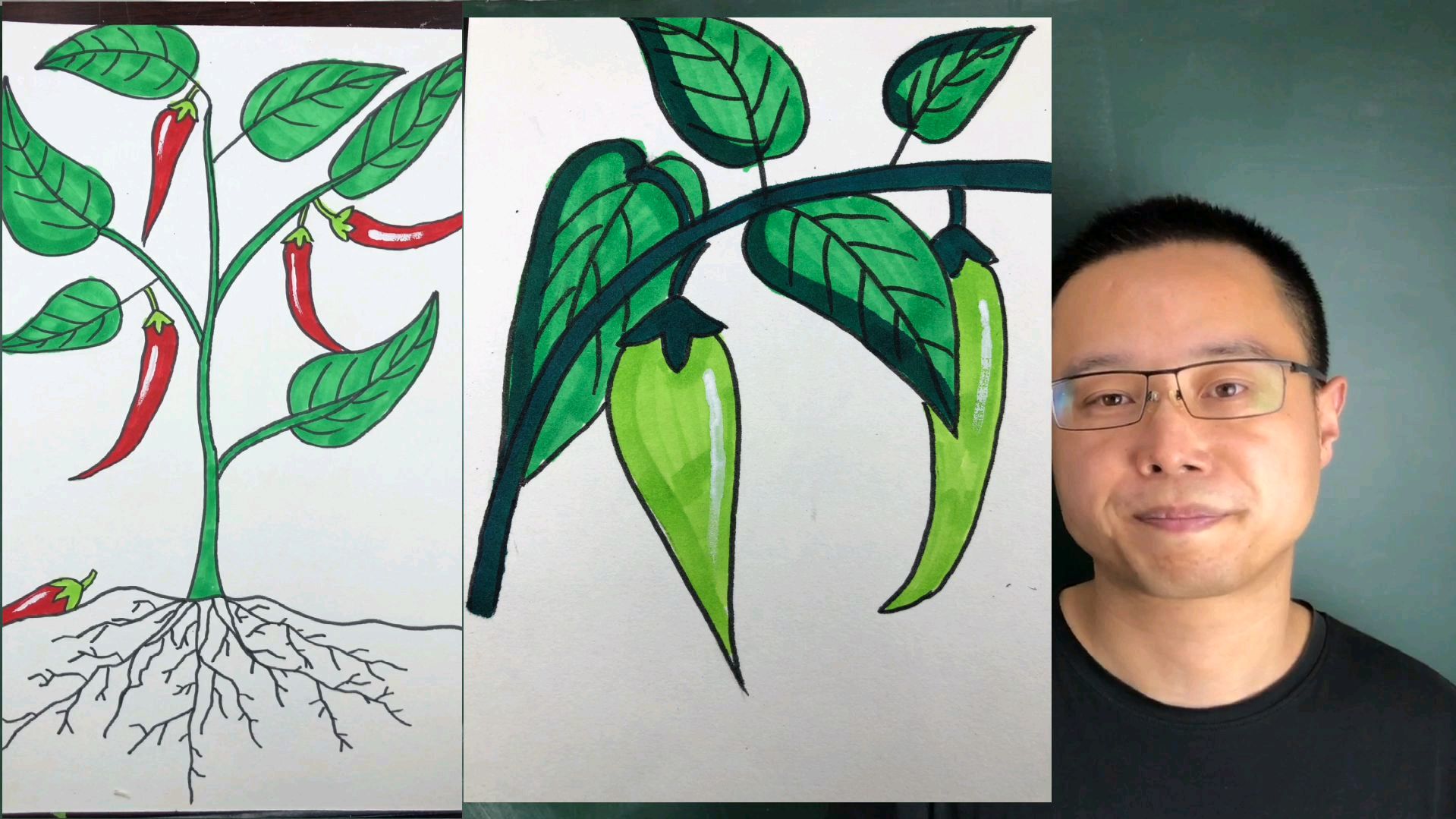 儿童简笔画~各种辣椒