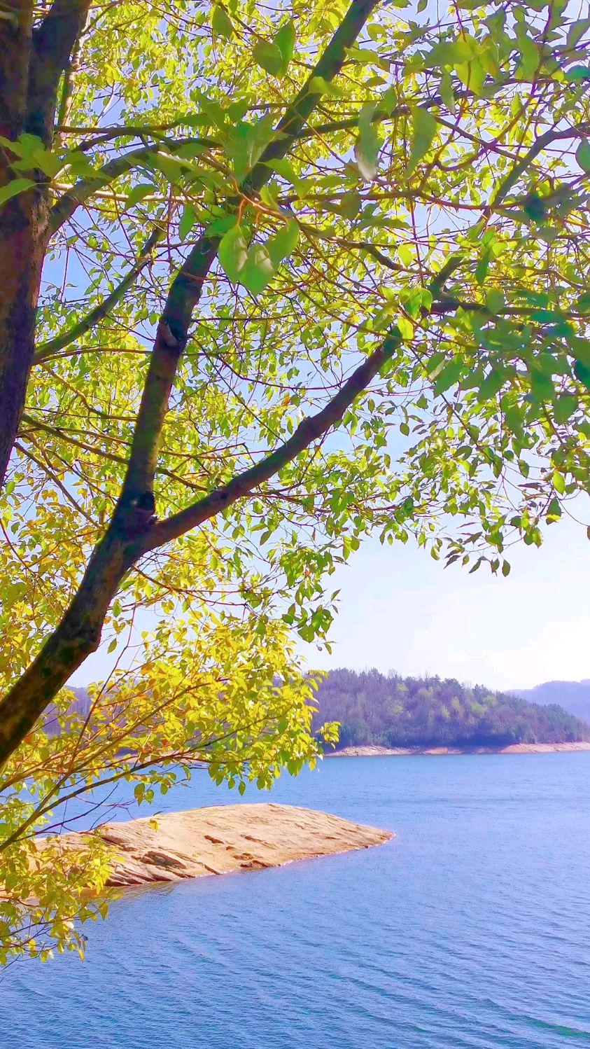 湖北麻城明山水库～春风暖暖的,仿佛要将我吹回从前