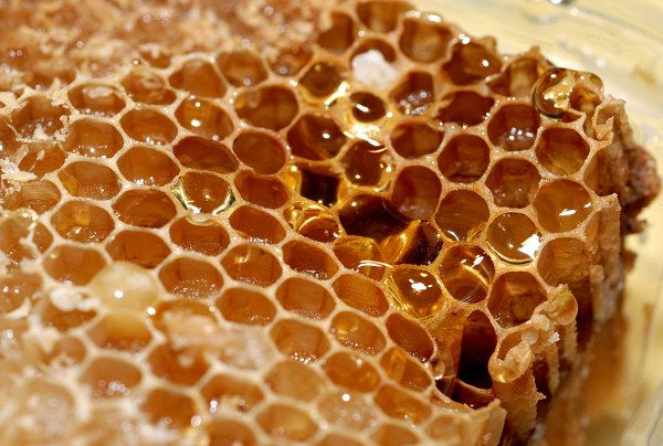 为什么人们常说每天喝点蜂蜜水?你对蜂蜜了解多少呢?