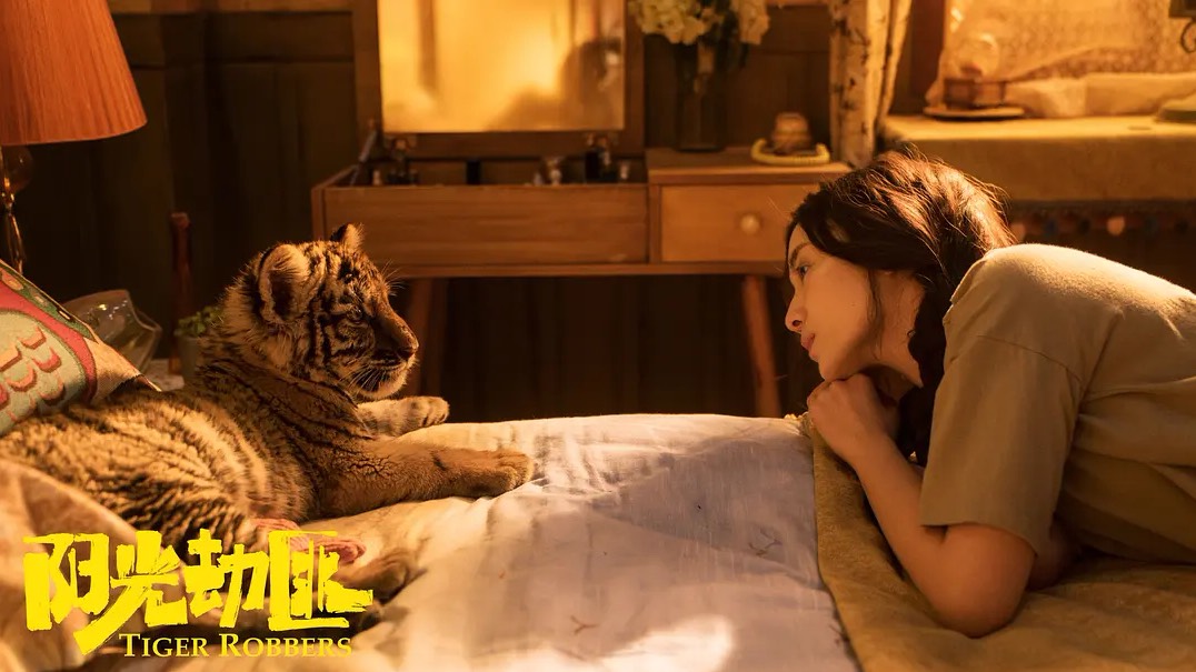 豆瓣4.2分的三无烂片《阳光劫匪》,马丽主演,沈腾包场也救不了它