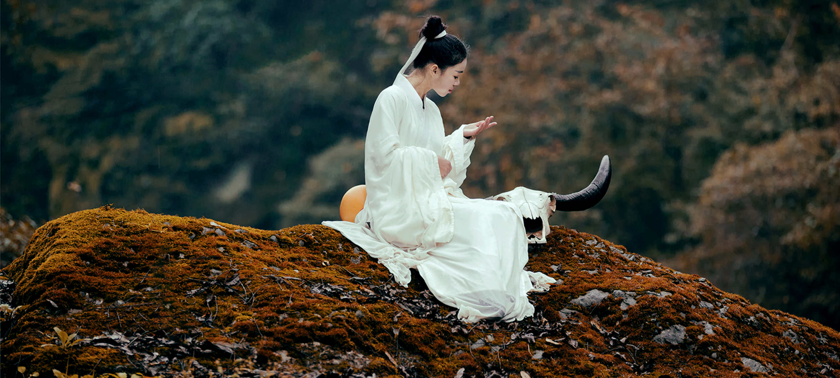 "-白玉蟾《道情》.