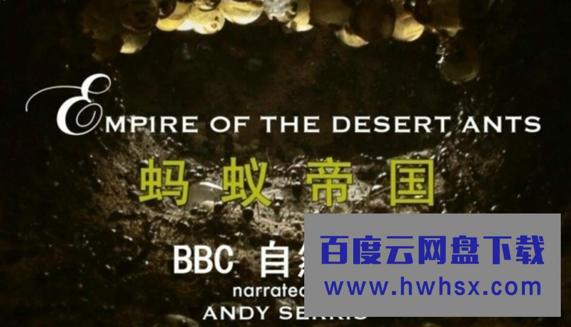 BBC自然世界 720P高清纪录片《蚂蚁帝国 Empire of the Desert Ants 2010》全集下载4k|1080p高清百度网盘