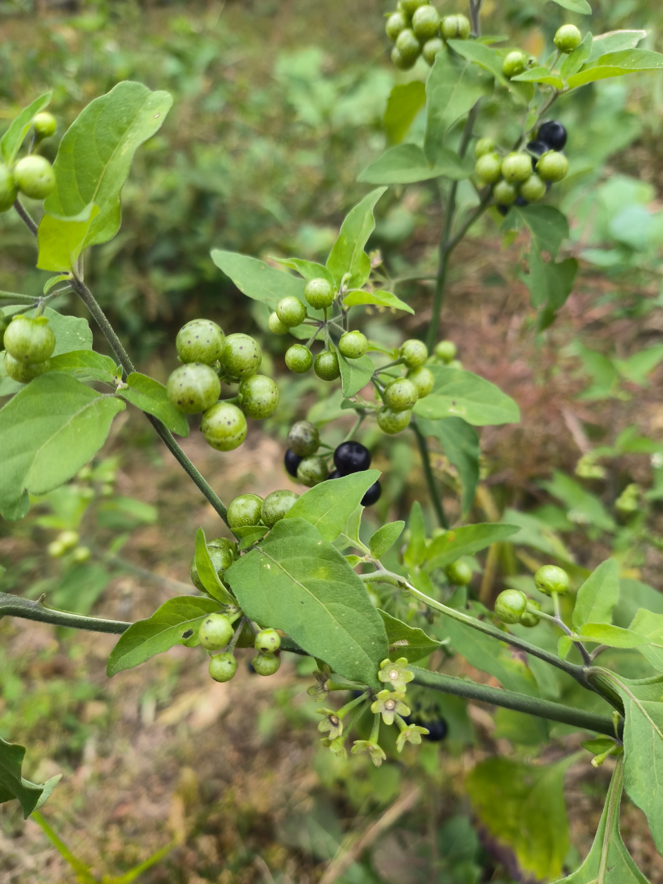 感觉时间过得好快,自己奔四了,很久没有看到这些