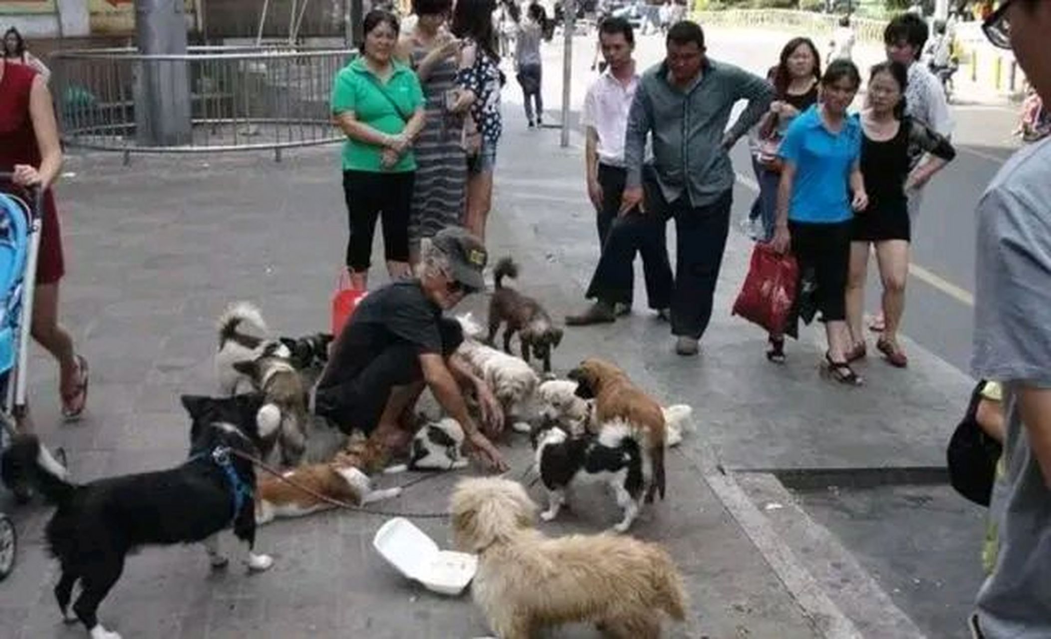 香港郑六三图片