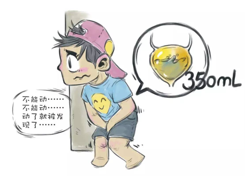 一喝水就排尿多,肾脏好还是不好?看完就明白了